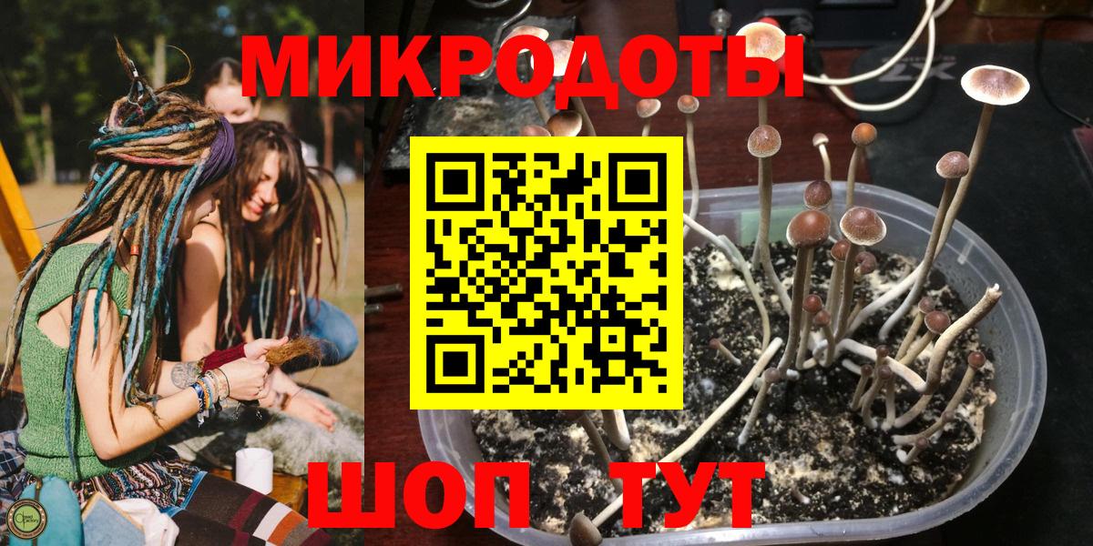 Елабуга  Псилоцибиновые грибы ЛСД  Псилоцибиновые грибы Psilocybe  Вход с VPN 