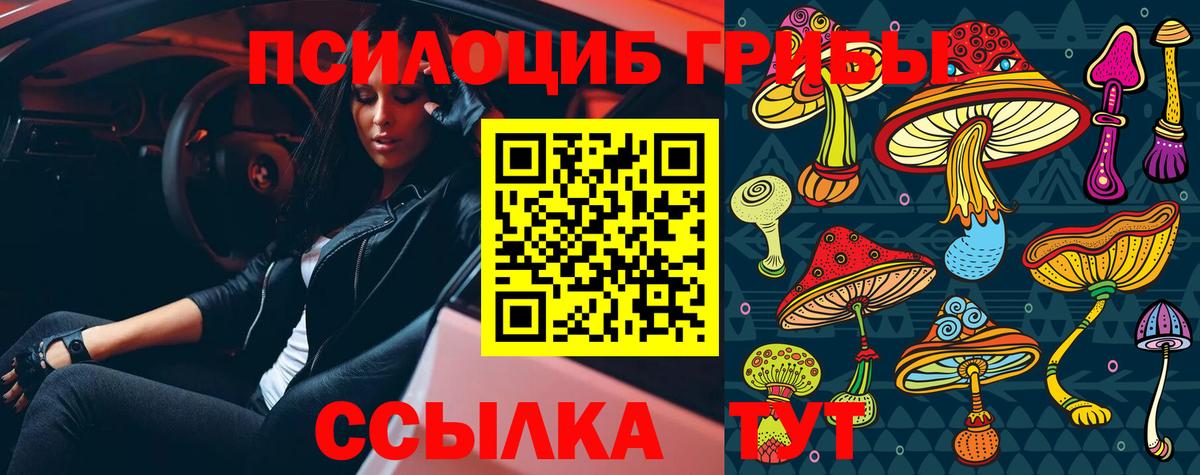 Псилоцибиновые грибы MAGIC MUSHROOMS Елабуга